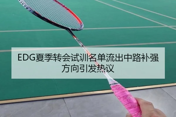 EDG夏季转会试训名单流出中路补强方向引发热议